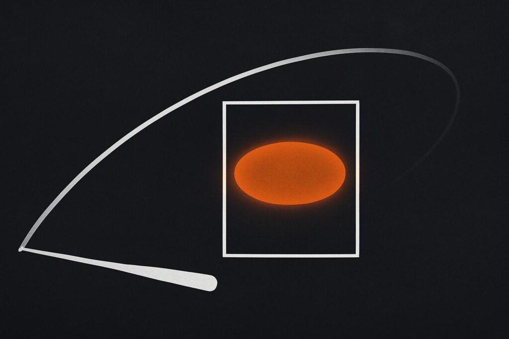 What is a Wheelhouse?